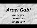 Araw Gabi - Regine Velasquez (KARAOKE/Acoustic)(male key)