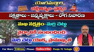 మఖ నక్షత్రం-మర్రి చెట్టు | Importance Of Magha Nakshatram | Marri Chettu | Pooja Tv Telugu