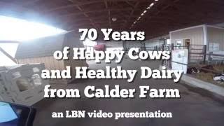 70 Years of Happy Cows and Healthy Dairy From Calder Farm