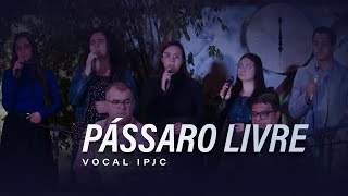 Pássaro Livre  | Vocal IPJC