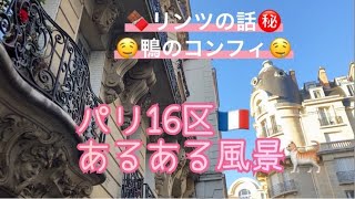 [フランス・パリ]16区のあるある風景！いつもの巨大カルフールでリンツとフランスおかずの缶詰！フランスのカフェの定番料理を家でも食べよう！#パリ生活 #フランス #パリの日常 #海外生活 #海外旅行