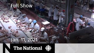 CBC News: The National | RCMP investigate workplace COVID-19 death | Jan. 11, 2021