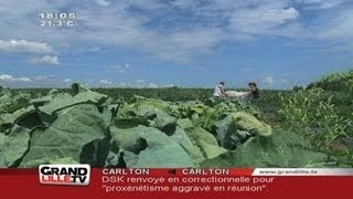 Cueillette de saison à la ferme du Vinage