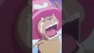 Chopper Crying Meme Onepiece Chopper Crying Meme Memes