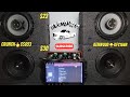 Crunch CS653  Vs  Kenwood KFC-1666R Car Speakers