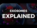 Exosomes EXPLAINED