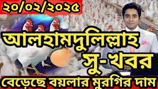 কিছু টা বেড়েছে বয়লার মুরগির দাম : ২০/০২/২০২৫ বয়লার ও সোনালী মুরগির পাইকারি বাজার : 20 February 2025