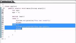 Java Programming Tutorial 12 Switch Statement