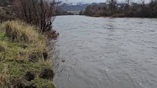 Klamath River downstream of  Klamathon Bridge - December 28, 2024