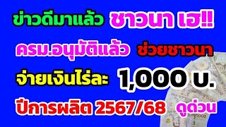 ข่าวดีมาแล้ว‼️ชาวนาเฮ! ครม.อนุมัติแล้ว จ่ายเงินไร่ละ 1,000 บ. ปีการผลิต 2567/68 ดูด่วน!!