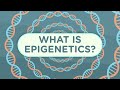 What Is Epigenetics? | Epigenetics Part 1