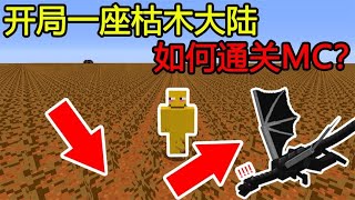 Minecraft：开局一座枯木大陆，如何打败末影龙，通关MC？【煞神吖】