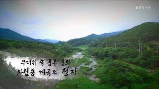 [경남문화 100선] 무더위 속 풍류 문화 - 함양 화림동 계곡의 정자 (2017.07.22,토)