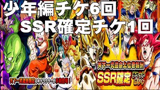 ドラゴンボールドッカンバトルガシャチケSSR確定＆少年編