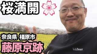 【奈良県YouTuber】花見🌸in藤原京　橿原市！【西ちゃん】