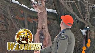 Wardens: Firearm Deer and Michigan Sturgeon | FD Real