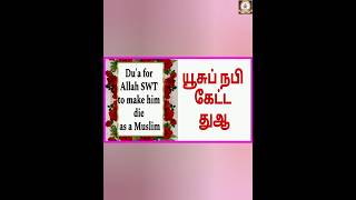 அல்லாஹ்வின் நேசத்திற்குரியவனாக மரணிக்க இந்த துஆ#arabicforbeginners#tamil #dua @alliswellmydear