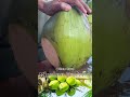 Young green coconut cutting - Fruit Cutting Skills #shorts #coconut #asmr #satisfying