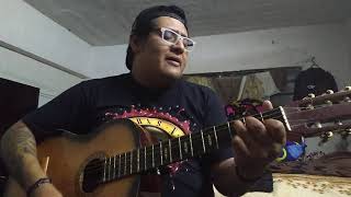 Sobreviví el haragan cover