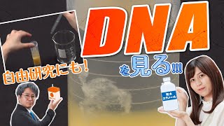 【DNA抽出実験】エタノール沈殿でDNAを抽出してみた