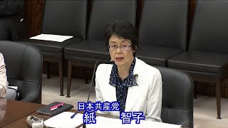 食料困難対策法案　営業の自由侵害は明白　参考人発言　2024.6.6