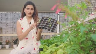 Actress Samantha About Seeding In Home Garden | Daily Culture