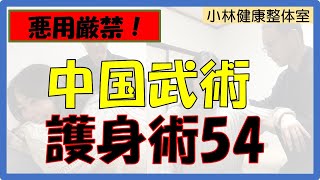 【悪用厳禁】中国武術、護身術54　腹部の急所！初心者でも強力な打撃