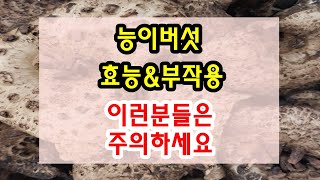 능이버섯 효능과 부작용 잘 알고 드셔야해요~