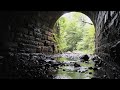 Under The Railtrail—A Film by Roy MacNeil