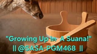 Podcat #4 Growing up in the Sauna! #trails #hiking || @SASA-PGM468  || #viral #trending #deer