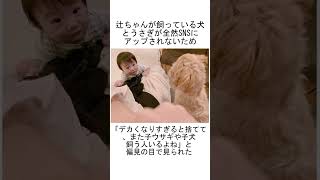 辻希美の炎上に関する雑学 パート43 #shorts #雑学