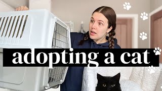 HOME VLOG | I'm adopting a cat 🐾