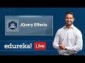 jQuery Live - 4 | jQuery Effects Tutorial | Effects in jQuery | jQuery Training | Edureka