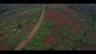 Ada Industri di Balik Penggundulan Hutan