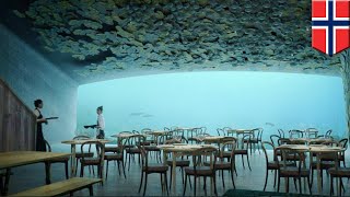 Restaurante bajo el agua: Noruega planea el primer restaurante bajo el agua en Europa - TomoNews