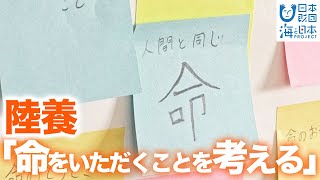 海から離れた宇都宮市の小学生が陸上養殖したヒラメの命を考える 日本財団 海と日本PROJECT in 栃木県 2021 #04