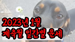 ☯️2023년1월 계축월(癸丑月) 일간별 운세