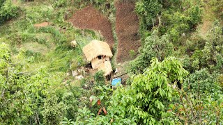 Daily Routine in Nepali Village | Natural Beauty of Rural Village | The Jajarkot Media.