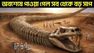 অবশেষে পাওয়া গেলে দুনিয়ার সব থেকে বড় সাপ | World's 10 largest and most dangerous snakes