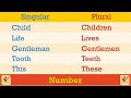 Singular - Plural : 215+ Important Words | Number | Vocabulary | Nouns | Pronouns | English Grammar