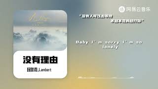 杨胖雨 / Lambert- 没有理由 | 【动态Lyric】没有人可以去等待 我已经等了太久#抖音歌曲#抖音歌曲#musicvideo #chinesemusic