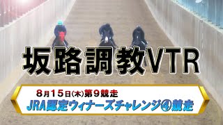 【2024坂路調教映像】8/15（木）　第9競走　JRA認定ウィナーズチャレンジ④競走