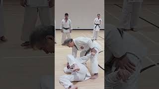 WSKF| Sensei Hitoshi Kasuya 2024 | SEDAI Karate-do