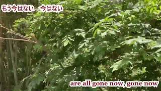 ひとりきり (All Alone) - かぐや姫 (Kaguyahime) 1972 歌詞 Lyrics English Translation