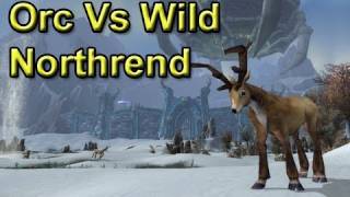 Orc vs Wild: Northrend by Wowcrendor (WoW Machinima) | WoWcrendor