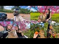 One Day Trip with my BF Beautiful Sheep Farm near Mae Sot so beautiful🐑🍊🌱🌸 #EP-237