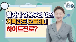 [오늘장랭킹5] 원자재 상승우려 여전 치맥값도 오를테니 하이트진로? / 머니투데이방송 (증시, 증권)