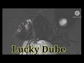 Lucky Dube - Different Colours    #lyrics