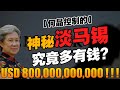 最成功的主权基金，竟是淡马锡？建国不久的新加坡，哪来这么多钱？【华人百科 EP20】