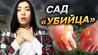 НИКОГДА НЕ сажайте ЭТО на своем участке!